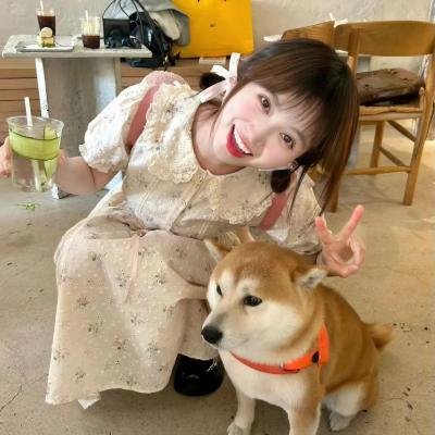 史努比的惊险夏令营
